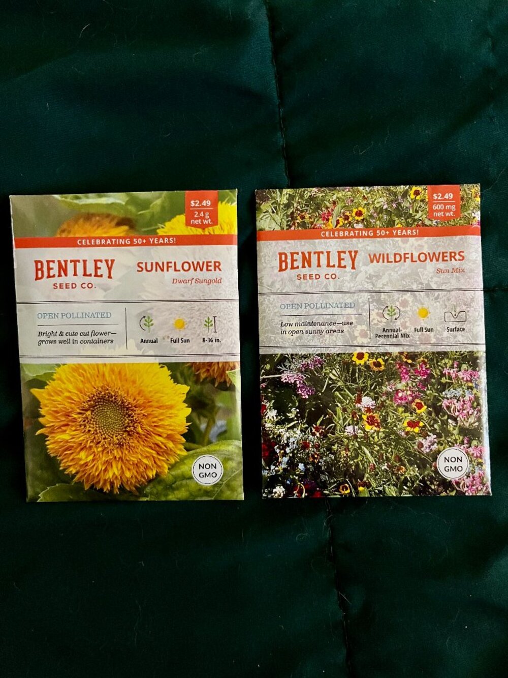 🍒 5/$25 🍒 SEEDS | Dwarf Sungold Sunflower | Wildflowers Sun Mix
